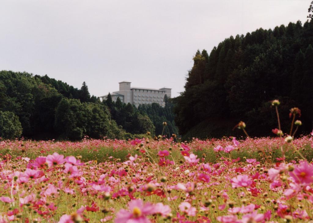 Okura Akademia Park Hotel Kiszarazu Kültér fotó